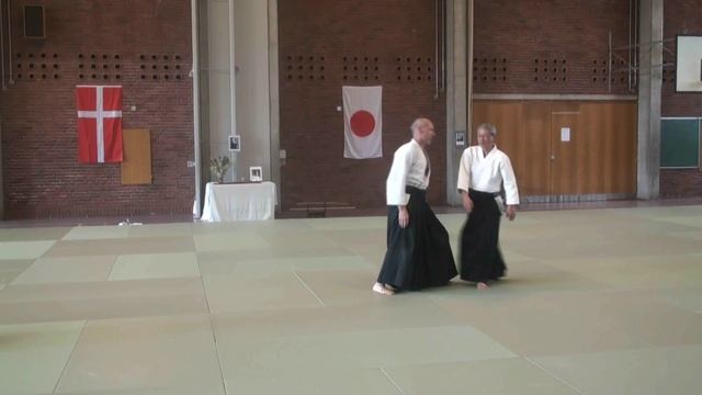 14 Цуки Дзёдан Земпо Атеми (Растяжение)