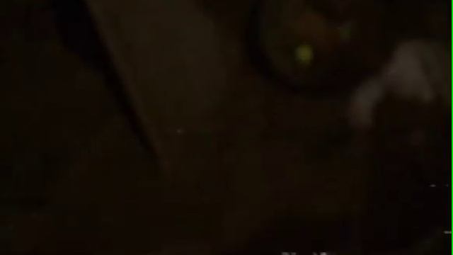 Roger Miller - My Uncle Used to Love Me but She Died смотреть онлайн