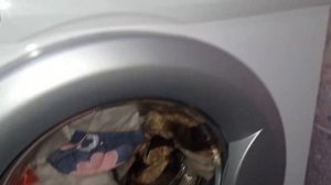 Паровой цикл в стиральной машине lg