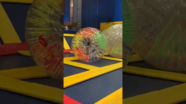 Me in a Gerbil Ball смотреть онлайн