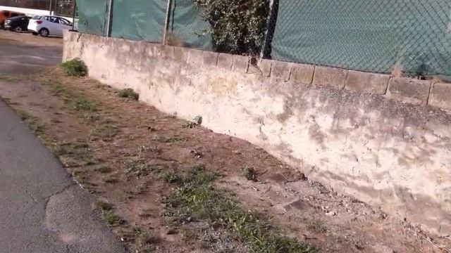 Чехия.г.Мельник.Разговоры....Набережная.Выходной день.Вышел на прогулку.Первая часть.Впечатления. смотреть онлайн