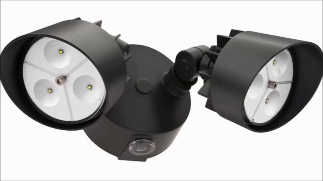 Learn How to Get Rid of Skunks Fast | BEST Repellent for Getting Rid of Skunks | How to Repel Pests смотреть онлайн