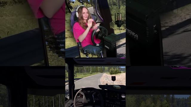 НАВЕЛА СУЕТУ #ets2 #shorts #lissa смотреть онлайн