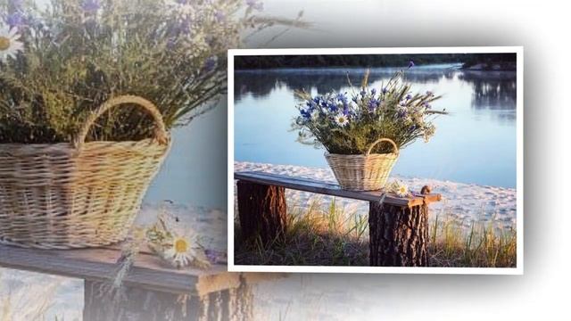 Садко - Ромашки смотреть онлайн