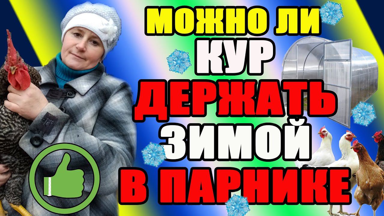 Можно ли кур ДЕРЖАТЬ ЗИМОЙ в парнике. смотреть онлайн
