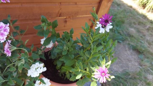 Я В ОТПУСКЕ , УРА??♀️ ! НАШ ДАЧНЫЙ КАРЬЕР - КАК МАЛЕНЬКИЙ КИПР В ЛЕН.ОБЛАСТИ?♂️ смотреть онлайн