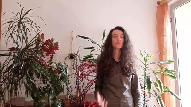 Fear Not This Night - Guild Wars 2 смотреть онлайн