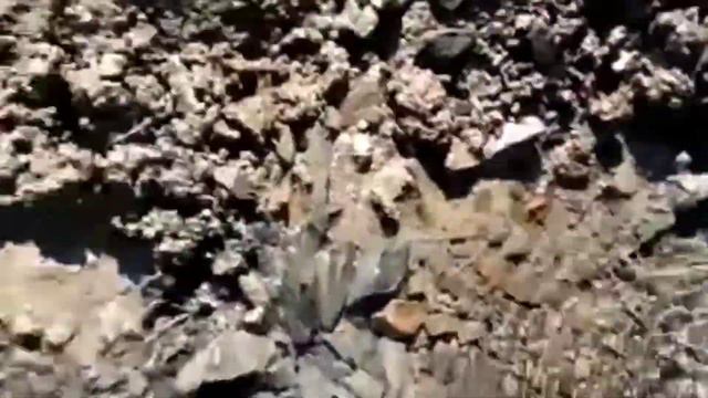 Родник в горах. Ахтынский район. #смугул #ахты #дагестан #дербент смотреть онлайн