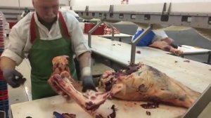 Обвалка задней части говядины 480