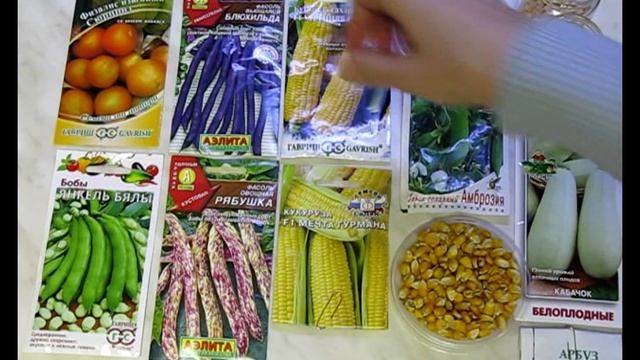 Мама для дачи - 7, февраль. Разбираем семена бобовых и пасленовых культур смотреть онлайн