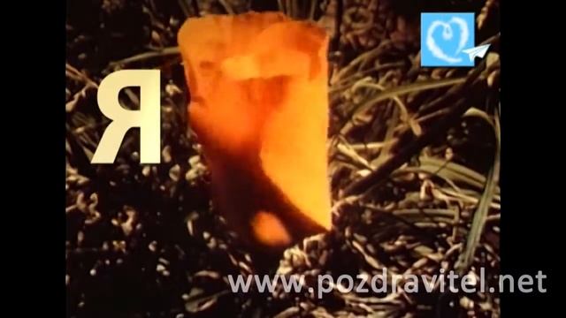 Красивая видео открытка Признание в люви для женщины или девушки смотреть онлайн