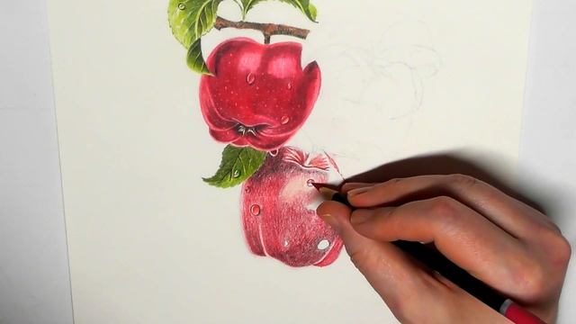 Castle Art Botanical Speed Drawing смотреть онлайн