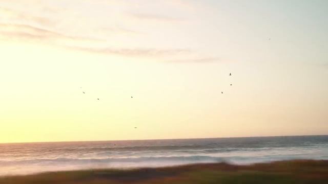 NIGHT DRIVE PHONK MIX (LXST CXNTURY TYPE) #8 смотреть онлайн