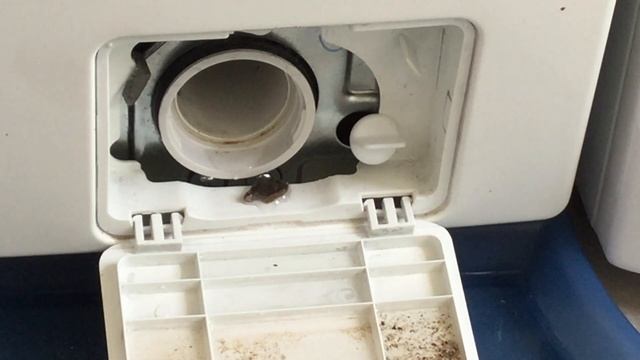 How To Clean A Samsung Eco Bubble Washing Machine Filter смотреть онлайн