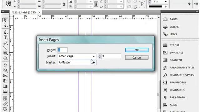 Добавление страниц в документ в Adobe InDesign CS4 (18/41) смотреть онлайн