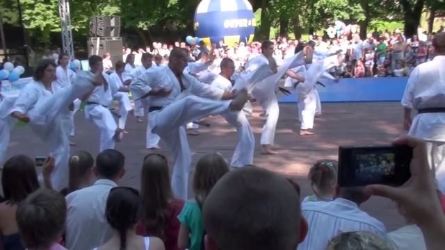 Przeworski Klub Karate Kyokushinkai pokaz 2012 06 24 смотреть онлайн