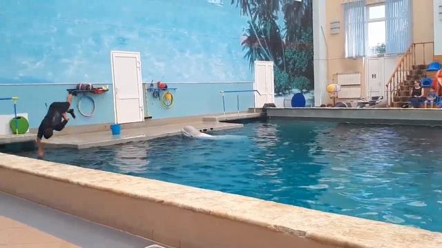 Кисловодский дельфинарий Белый кит Белуха 26 июля 2018 смотреть онлайн
