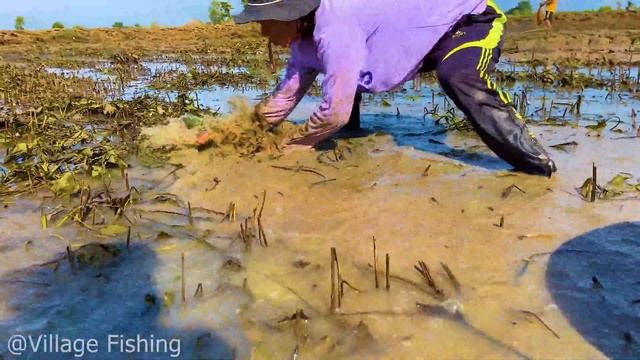 Wow! Wow! Top best hand fishing-technique catch more fish under green grass with hand skill 2022 смотреть онлайн