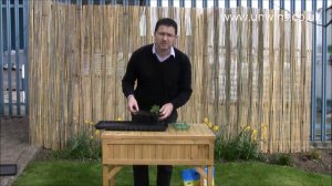 Petunia Tumbelina Anna