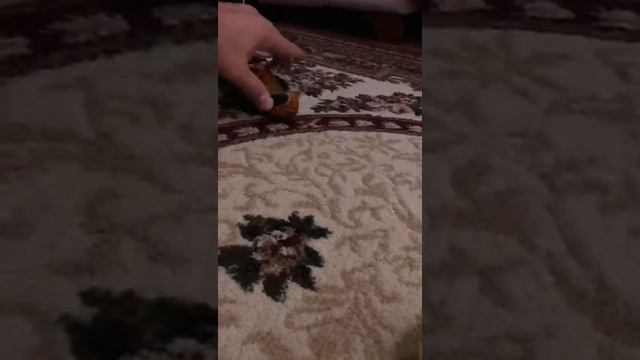 Аратинга птенец смотреть онлайн