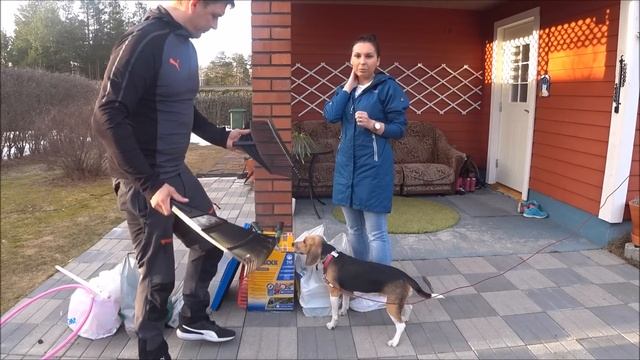 Поехали за Теплицей, а купили мини Мойку. Влог смотреть онлайн