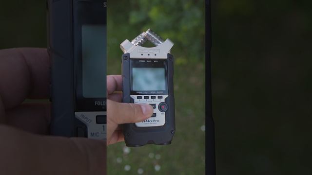 Can They Handle Wind Noise? | Zoom H5 vs H4n Pro смотреть онлайн