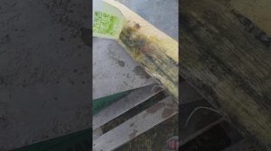 Избавление от черноты и плесени досок