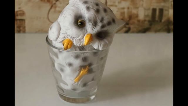 Тайна моего дома! Имя для сада! Коллекция птиц! Мысли материальны! смотреть онлайн