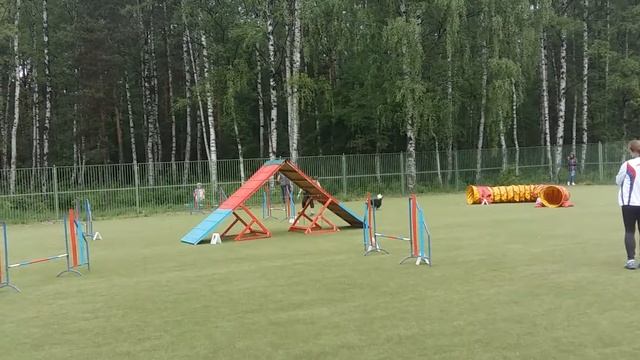 Чемпионат СПб смотреть онлайн