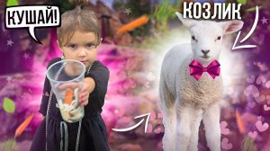 Обожаем контактный зоопарк Мимика очень любит животных кормим из рук