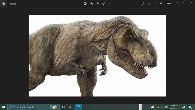 Rexy & Featherhead T Rex Sound Effects From 