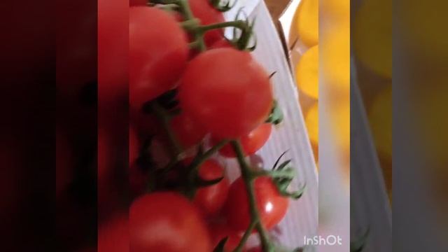 Wok лапша своими руками смотреть онлайн