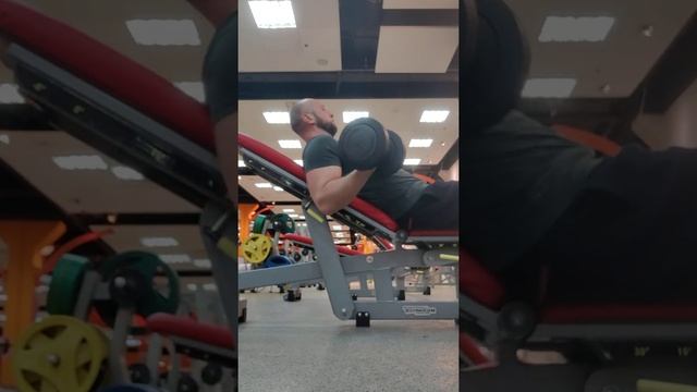 подъем гантелей на бицепс лёжа на наклонной скамье смотреть онлайн