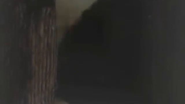 The Cure - Charlotte Sometimes (Animation) смотреть онлайн