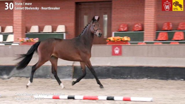 Youngster Auktion Lot 30 Coco Colanda Stute v. Cornet Obolensky - Heartbreaker смотреть онлайн