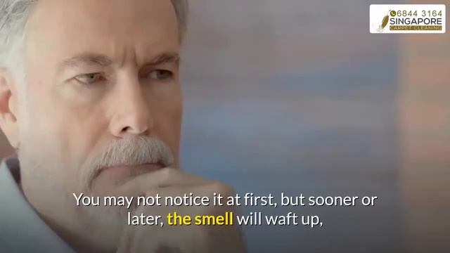 How to remove stains on your mattress? смотреть онлайн