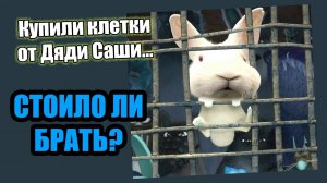 Видеообзор клеток Александра Воронкова («В гостях у Дяди Саши»)