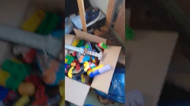 НАШ КОТ ВЕРНУЛСЯ ДОМОЙ! смотреть онлайн