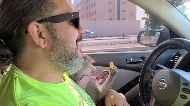 Творим хорошее настроение!!! Всем хорошего настроения!!! 12.11.23 смотреть онлайн