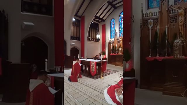 Palm Sunday Mass at Saint Dominic Church on March 24, 2024 at 9:00 AM смотреть онлайн