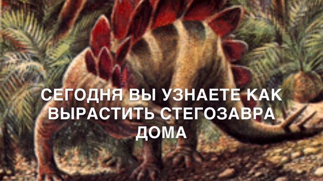 Как вырастить стегозавра у себя дома смотреть онлайн