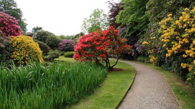 РОСКОШНЫЕ КОМПОЗИЦИИ В ДИЗАЙНЕ САДА / ДУЭТ СТИЛЕЙ / beautiful compositions in garden design ?? смотреть онлайн