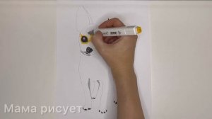 Урок рисования Чихуахуа