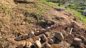 Созрели наши бананы  Батя делает крышу курятника  Отец и сын строят домик в деревне