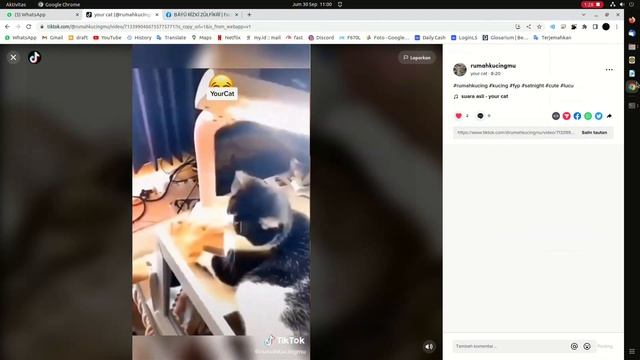 TIKTOK VIEW BOT USING PYTHON 3.8 !! смотреть онлайн