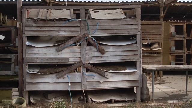Проект "Эко-школа "Огород". Фермерское Хозяйство апрель 2020г. SW15 смотреть онлайн
