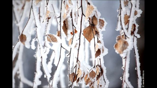 Поет зима аукает Есенин С.А. смотреть онлайн