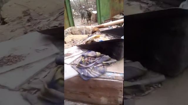 VID 20180406 165338 смотреть онлайн