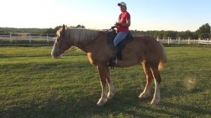 Строевая рысь.  Приёмы и упражнения.