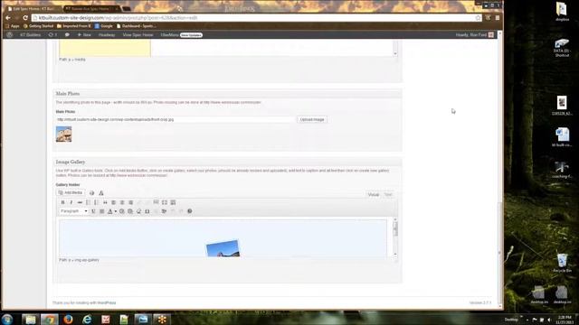 webvisuals v4 Wordpress photo gallery смотреть онлайн